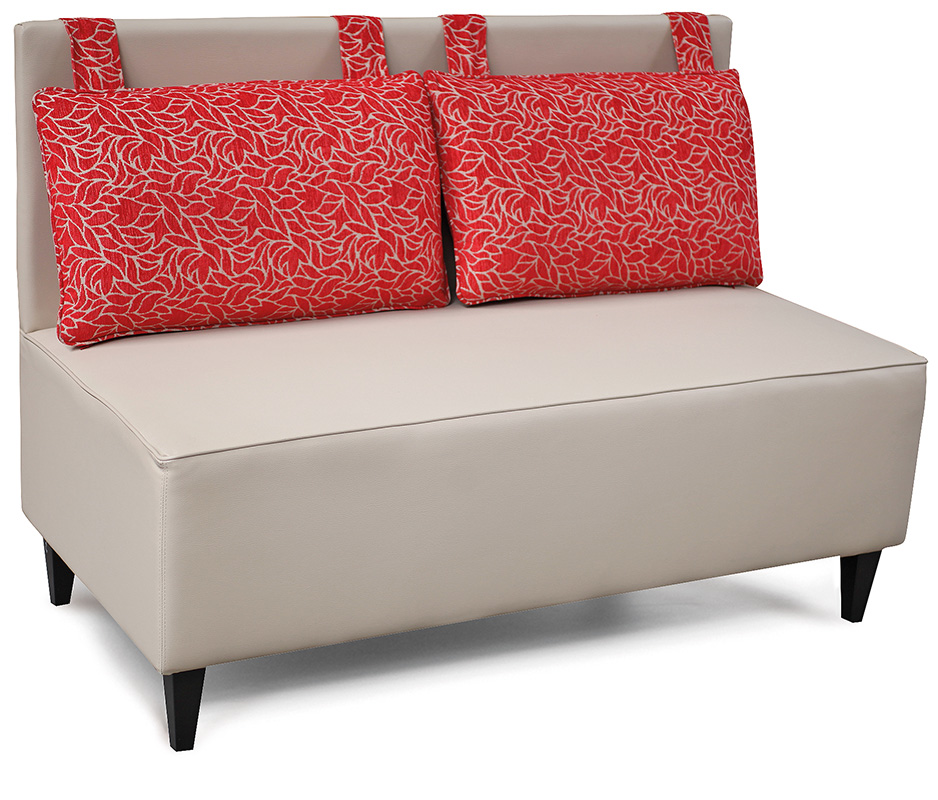 Cushion